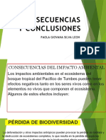 Consecuencias y Conclusion Paola