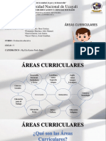 Areas Curriculares. Original