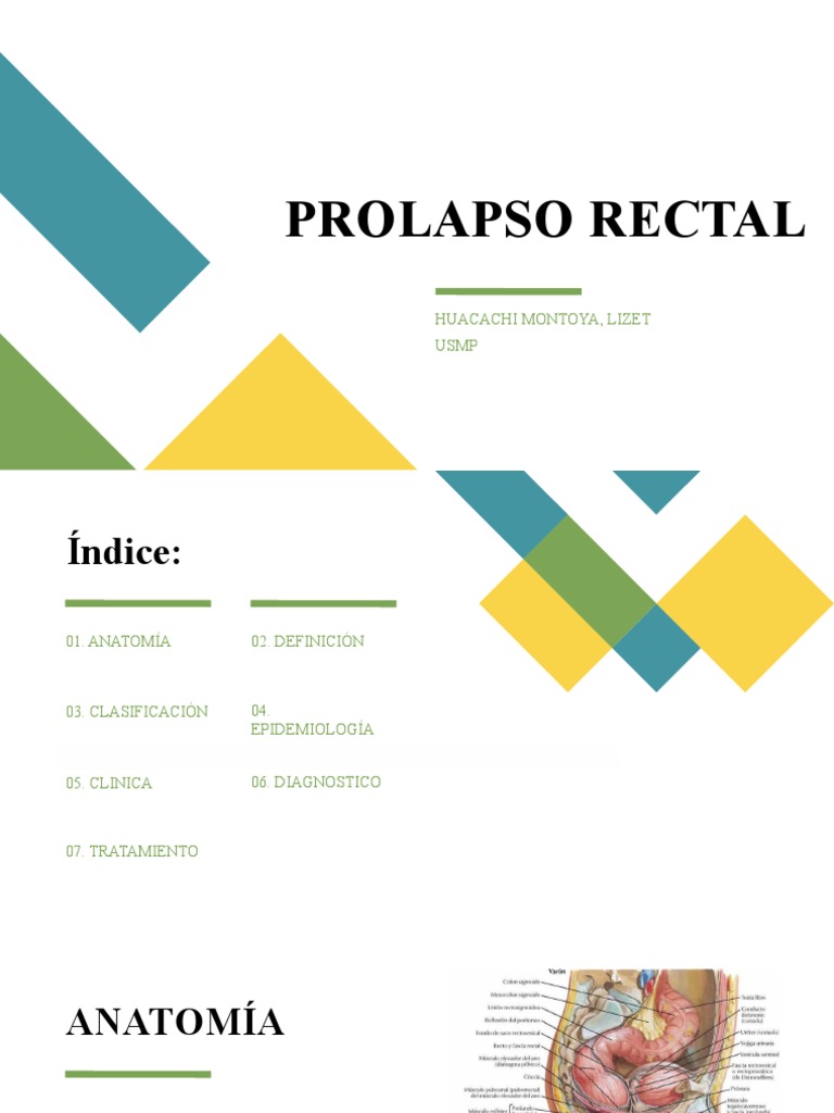 Prolapso Rectal | PDF