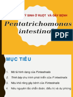 1.4. Pentatrichomonas Intestinalis Cac Bo Mon