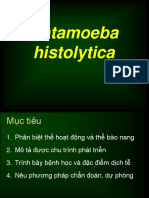 1.2 Entamoeba Histolytica Cac Bo Mon