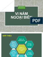 7.vi Nam Ngoai Bien