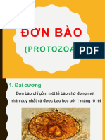 Don Bao - CBM