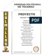 Reporte de Proyecto TRIKE