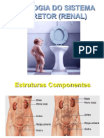 1 Fisiologia Renal