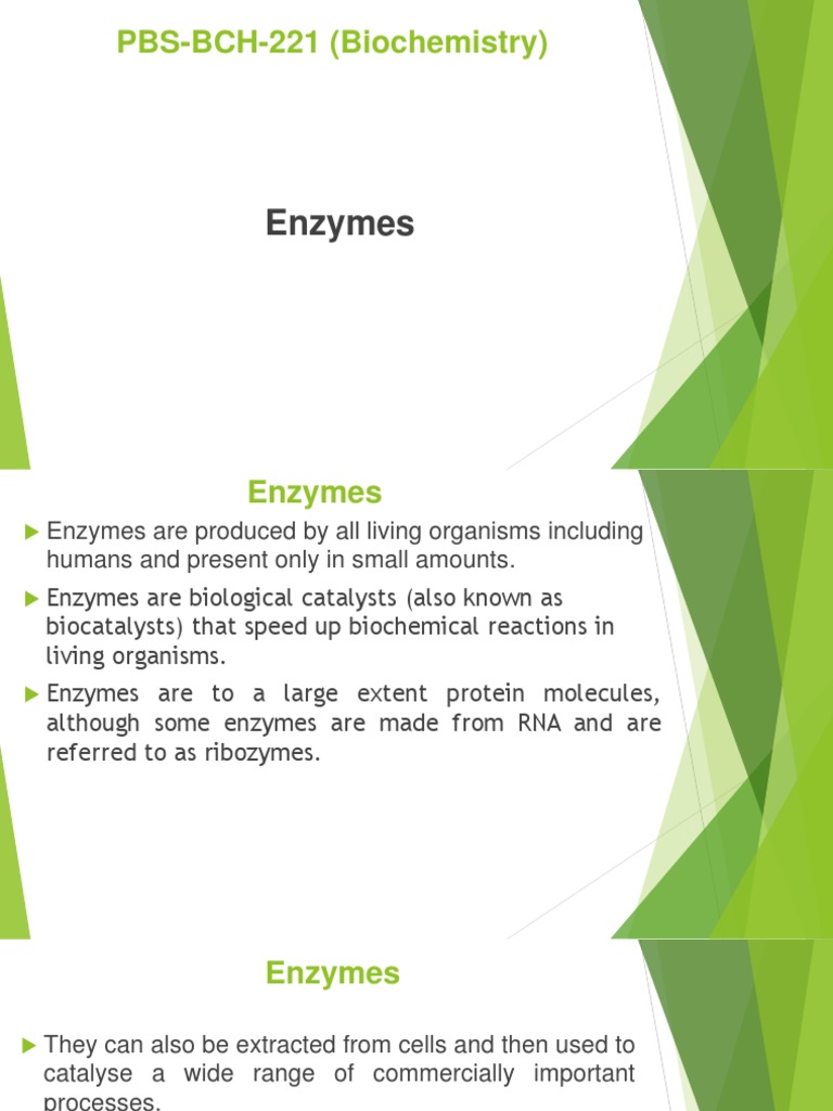 Lecture On Enzymes PDF Enzyme Inhibitor Active Site