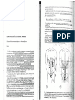 Tema 4. Fisiología Renal PDF