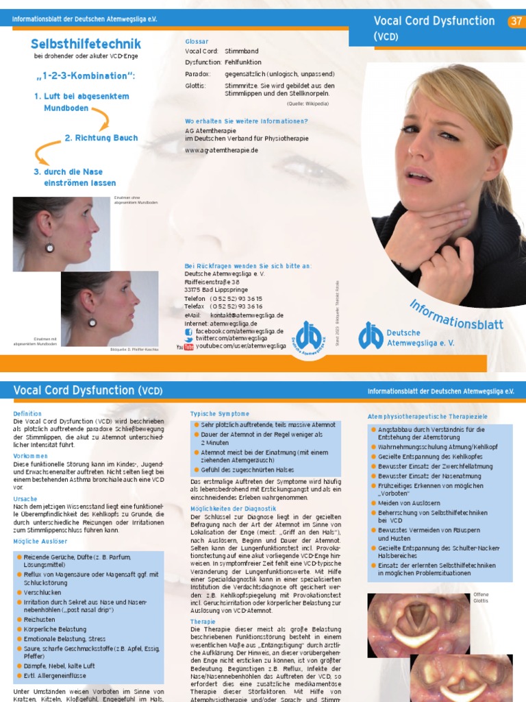 37 VCD | PDF