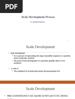 11 Scale Development Process