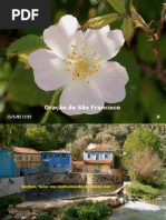 De Oração São Francisco