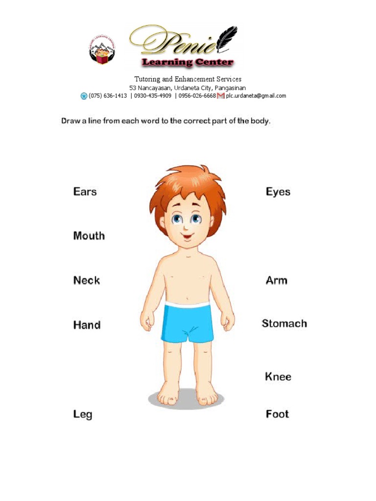 Printable Body Parts Worksheet