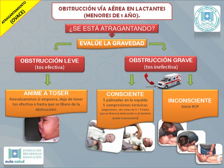 Ovace Lactante | PDF