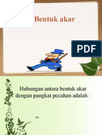 Bentuk Akar