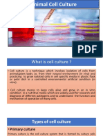 Animal Cell Culture