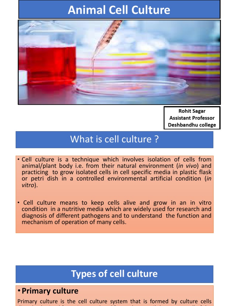 Animal cell culture PDF