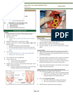 M3.1. PTG and Calcium Homeostasis (CC2-LEC)