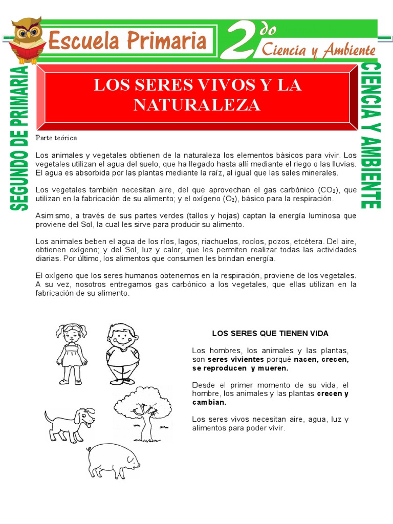 Los Seres Vivos Y La Naturaleza Para Segundo De Primaria Pdf