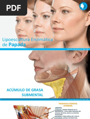 se puede inyectar l carnitina en la papada Beneficios y Riesgos de la L-Carnitina: Inyectar o Tomar? se puede inyectar l carnitina