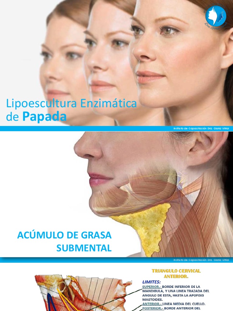 se puede inyectar l carnitina en la papada Lipoescultura Enzimática de | PDF Size:3ml - 1 inch 25 gauge Extrait de riz Buy Gluta Divine Glutathione