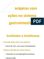 Fitoterápicos Gastrointestinal Antiácidos