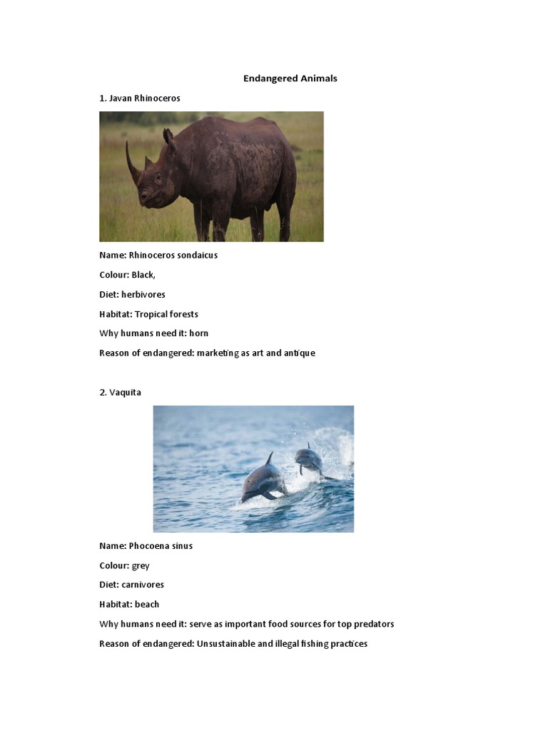 Endangered Animals | PDF | Home & Garden