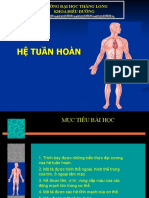 Giải phẫu hệ tuần hoàn