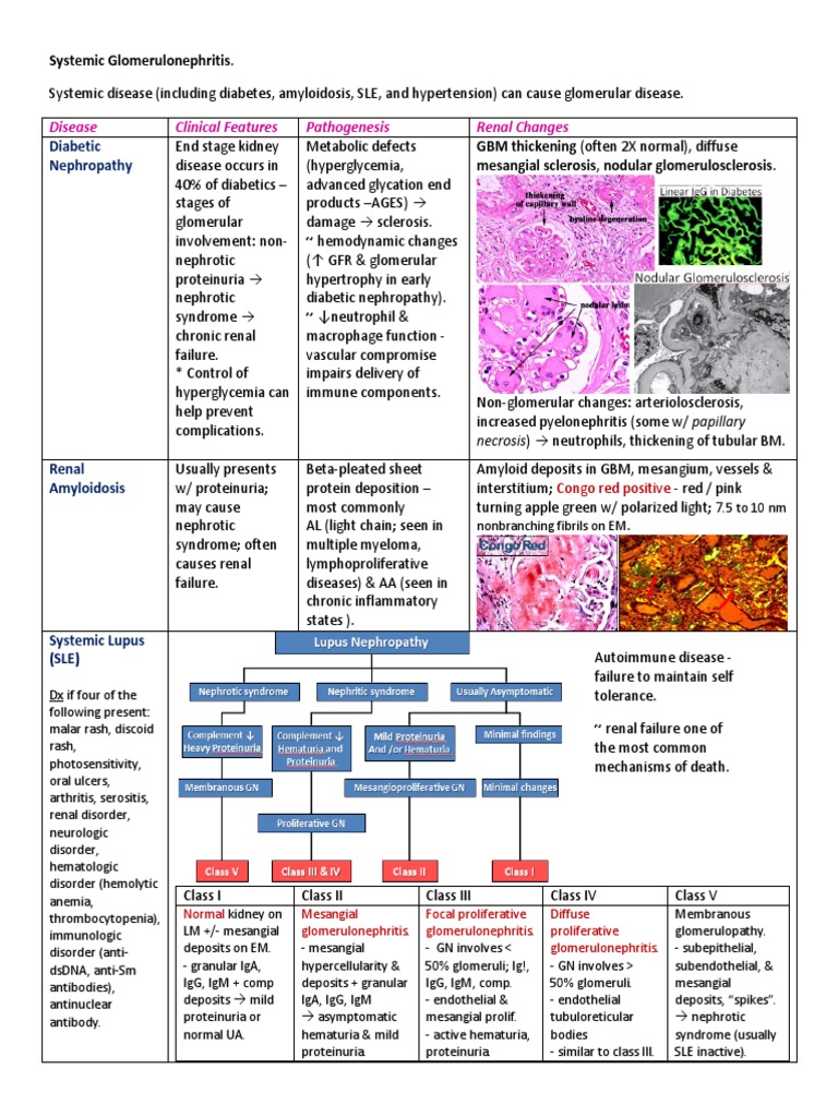 Systemic Glomerulonephritis Overview | PDF | Chronic Kidney Disease ...