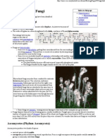 Characteristics of Fungi