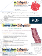 Pastel Colors Science Microbiology Laboratory Practice Presentation