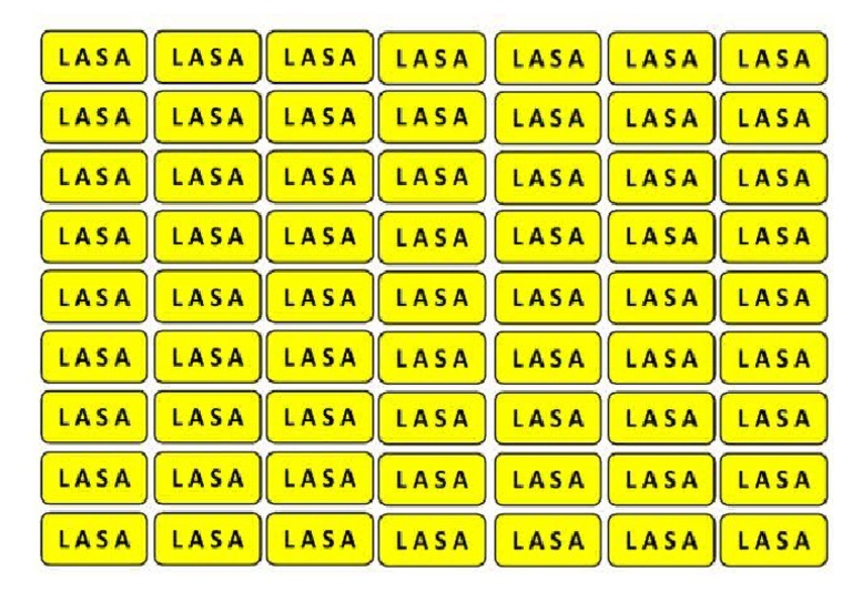 Lasa Logo PDF