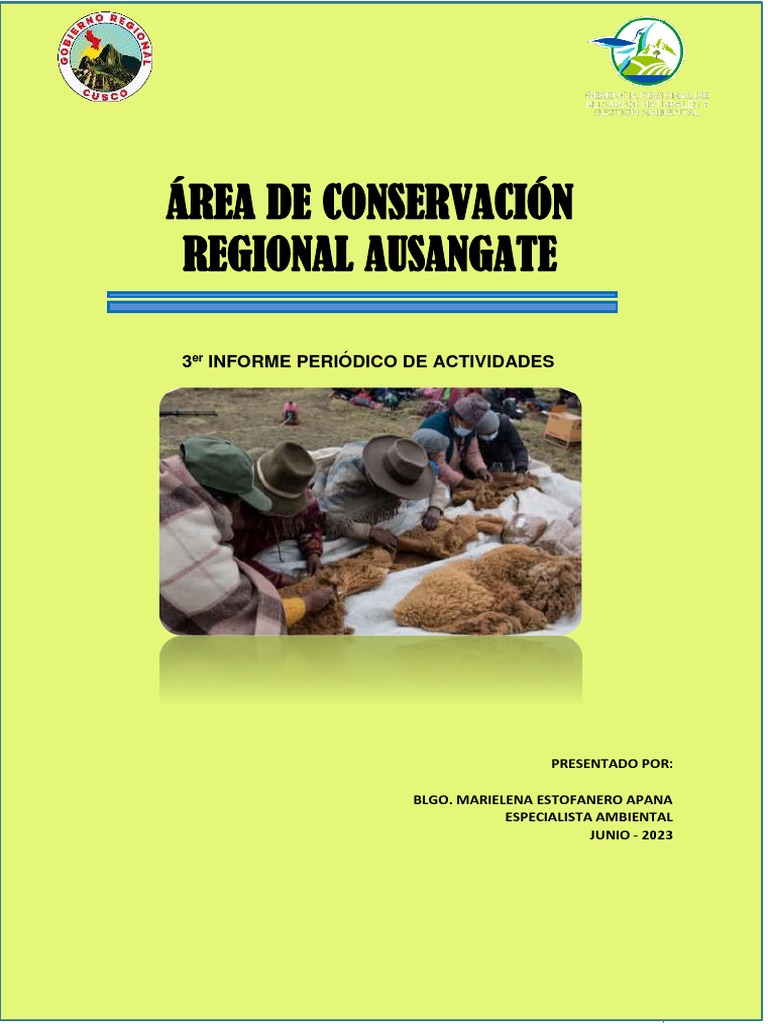 tercer-informe-de-actividades-pdf