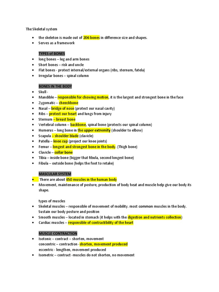 Human Skeletal and Muscular Systems | PDF | Skeletal Muscle | Shoulder