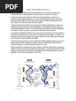 Teoría del Mundo de ARN: Origen de la Vida | PDF | Rna | Biosíntesis
