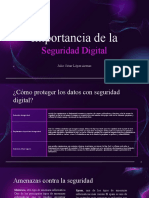 Seguridad Digital