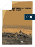 Status of Tigers in India 2008