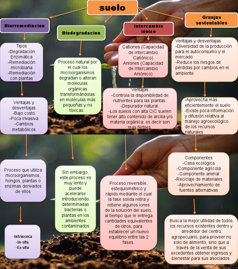 Quimica El Suelo Mapa Conceptual Pdf Suelo Química