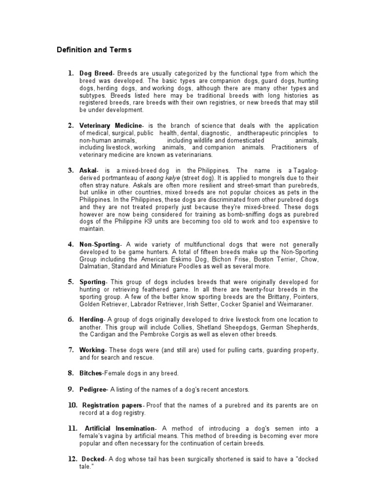 Auto insurance term paper