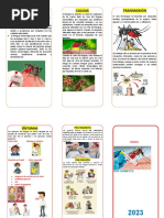 Triptico Sarampion Pdf Salud Y Bienestar