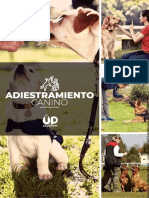 Adiestramiento+Canino+-+Up+Academy (3) Cristian