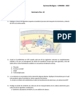 Seminario 10 - Fosforilación Oxidativa 2023