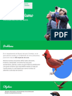 DESAFIO 1 - Caso Aviturismo Avistamiento de Aves - Oscar Garcia