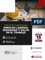 Derecho Laboral Seguridad y Salud en El Trabajo - Temario