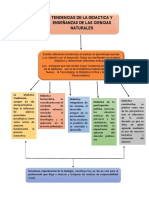 Mapa Conceptual