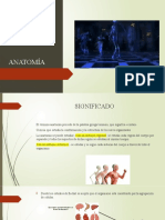 ANATOMÍA