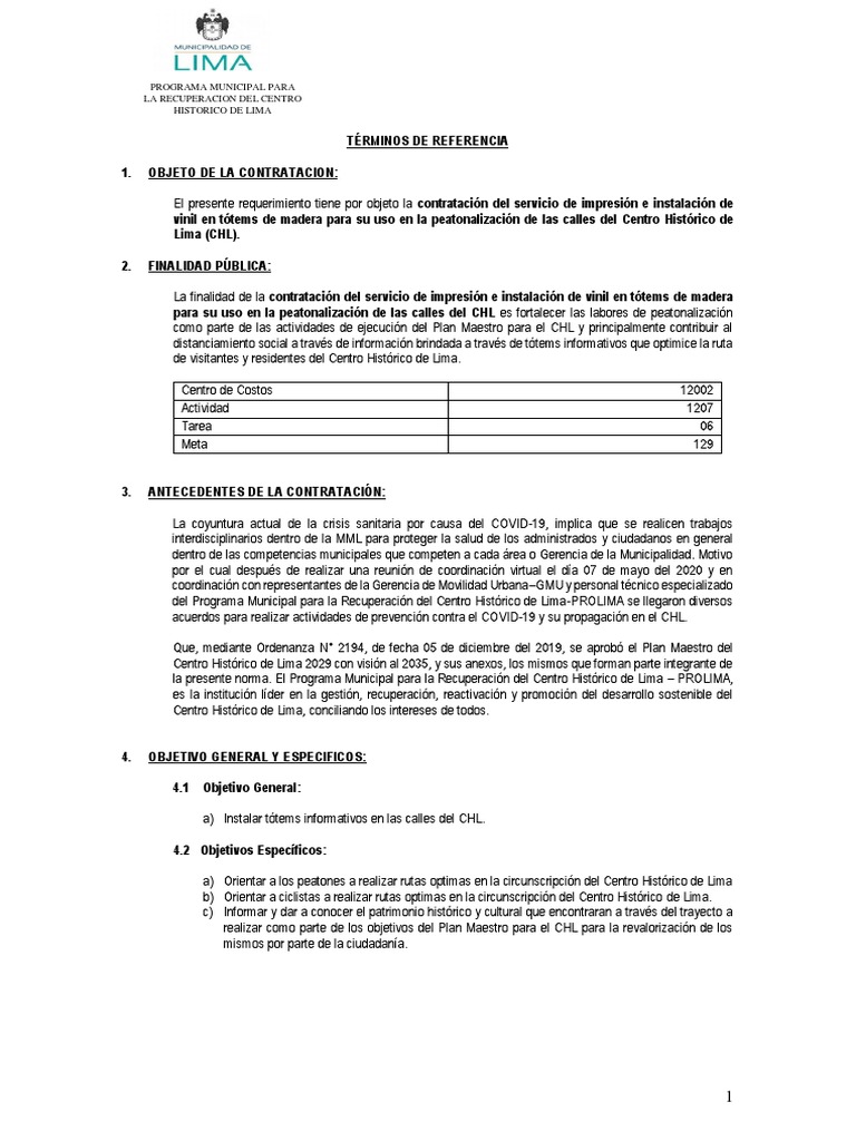 Modelo de TDR | PDF