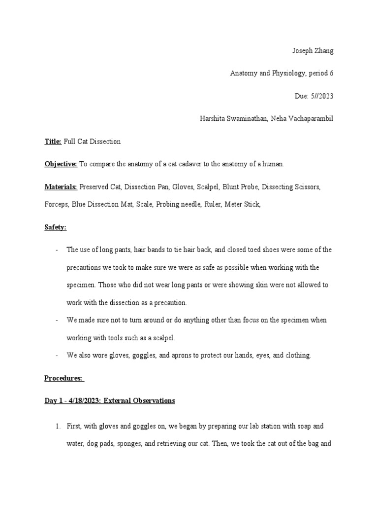 Cat Dissection Lab Report | PDF
