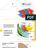 DIAPOSITIVA BIOQUIMICA. COMPLETOpdf