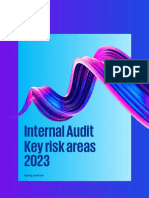 Internal Audit Key Risk Areas 2023