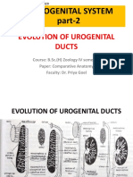 Evolution of Urogenital Ducts Part-2 27.03.2020