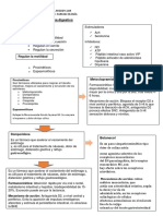 Fármacos Del Sistema Digestivo